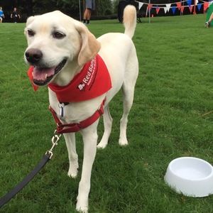 Meet your Posher, Cassi